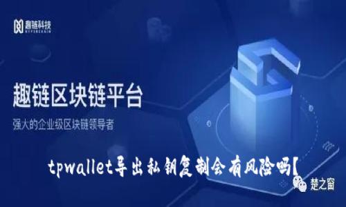 tpwallet导出私钥复制会有风险吗？