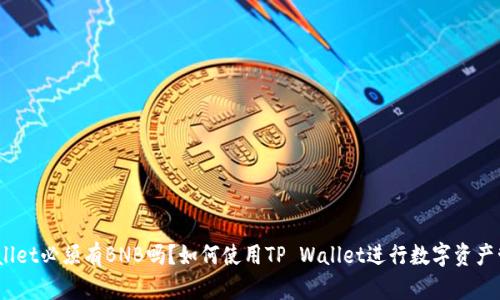 tpwallet必须有BNB吗？如何使用TP Wallet进行数字资产管理？