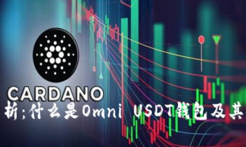 : 全面解析：什么是Omni USDT钱包及其使用技巧