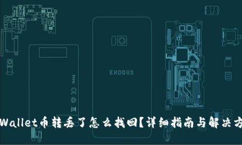 TPWallet币转丢了怎么找回？详细指南与解决方案