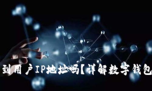 TPWallet能查到用户IP地址吗？详解数字钱包隐私与安全性