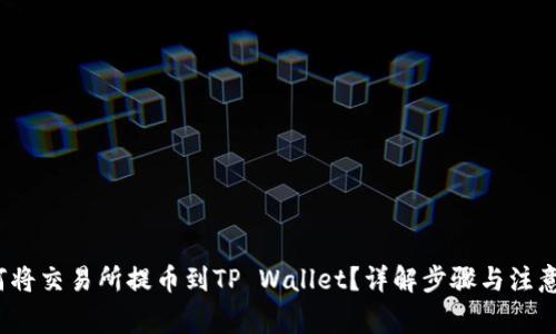  如何将交易所提币到TP Wallet？详解步骤与注意事项